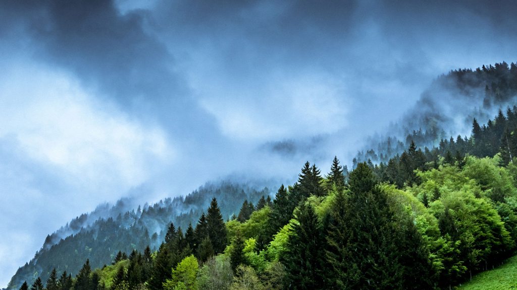 Climate neutral or zero net energy