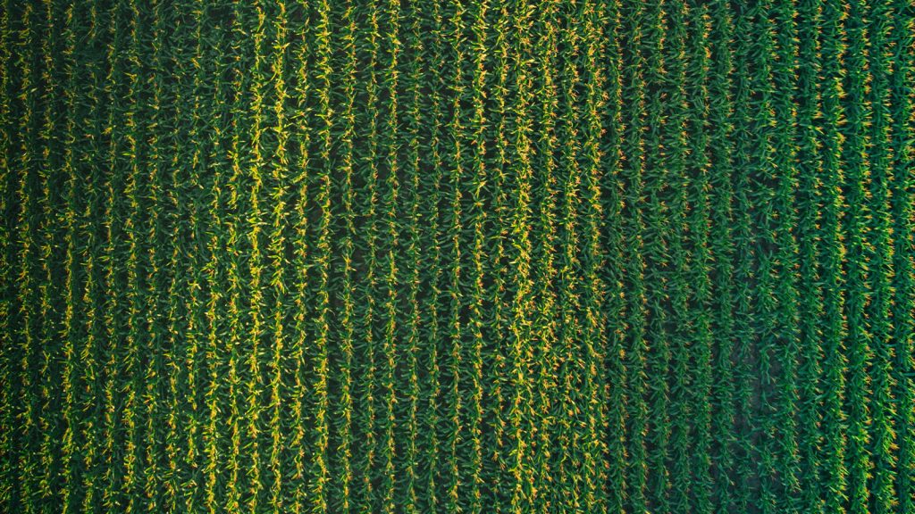 Cryptocurrencies Explained What is Yield Farming